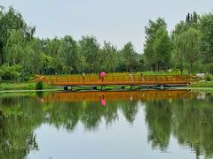 -东郊湿地公园