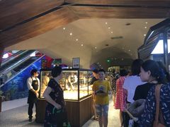 -LELECHA乐乐茶(上海五角场万达广场店)