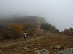 -北京鹫峰国家森林公园