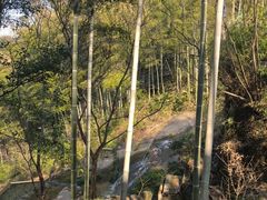 -山沟沟景区