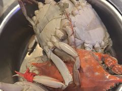 -半岛听涛蒸汽海鲜自助(K11店)