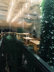 -悦诗风吟innisfree