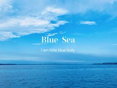 -崇海汽渡临永渡口