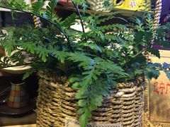 -SUN炸鸡专门店(西塔总店)