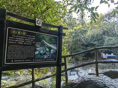 -石台牯牛降景区