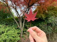 -宝界山林公园