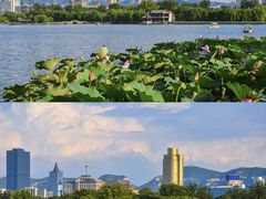 -趵突泉景区