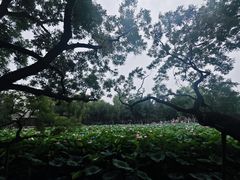 -莲池书院博物馆