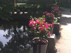 -西湖天地