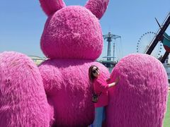 -秦皇岛乐岛海洋王国