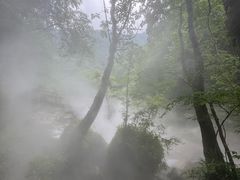 -西岭雪山大飞水景区