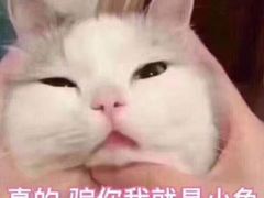 -1点点(湖明店)