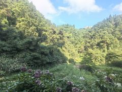 -鼓岭旅游度假区