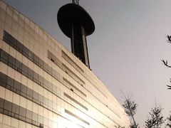 -南京奥林匹克体育中心-体育馆