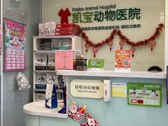 -悦宠凯宝动物医院·牙科·皮肤科(朝阳北路店)
