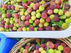 -三锅莊·牦牛肉火锅·香格里拉特色藏餐宴请餐厅(菱角塘路店)