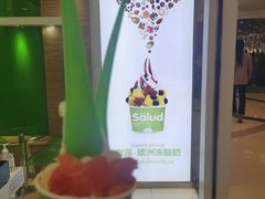 -Salud撒露欧洲冻酸奶(蓝色港湾店)