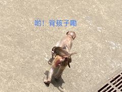 -南宁市动物园