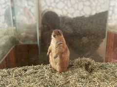 -海合安武汉极地海洋公园