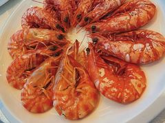 -欢乐海岸美食联盟
