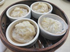 -莱莱小笼·乔艾