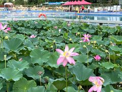 -万达广场(泰安泰山店)