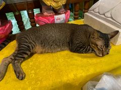 -ခြောက်ထပ်ကြီးရွှေသာလျောင်းဘုရားကြီး