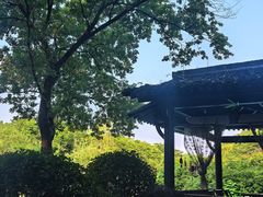 -杭州西溪喜来登度假大酒店