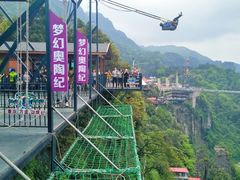 -梦幻奥陶纪景区