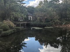 -秋霞圃