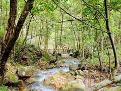 -姑婆山旅游区