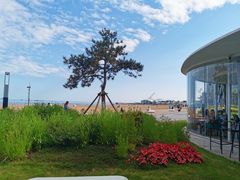 -青岛石老人海水浴场