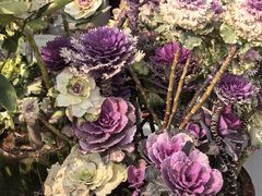 -龙大花卉苗木市场