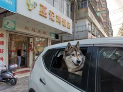 门面-巫记鸡饭店