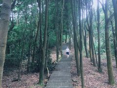 -广州市帽峰山景区