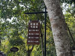 -呀诺达热带雨林