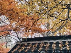 -狼山风景名胜区