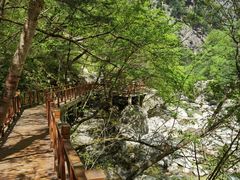 -青峰峡国家森林公园