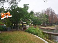 -四海公园(南山区)