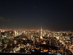 -六本木新城展望台(东京城市景观)