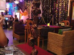 大堂-喀秋莎俄罗斯西餐厅(广州分店)