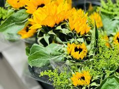 -鹿岛生活(龙湖上城天街店)