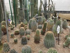 -南山植物园