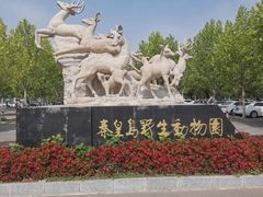 -秦皇岛野生动物园