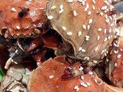 -古田会·肥肠鸡(古田店)