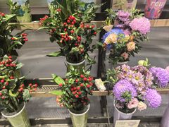 -融创茂(哈尔滨店)