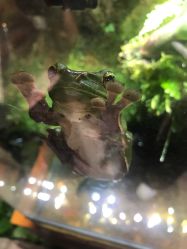 -酷嗒动物文化乐园(cutezoo西溪乐天城店)