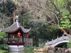 -深圳国际园林花卉博览园