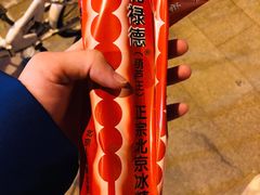 -和禄德冰糖葫芦