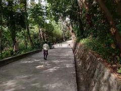 -中山纪念堂